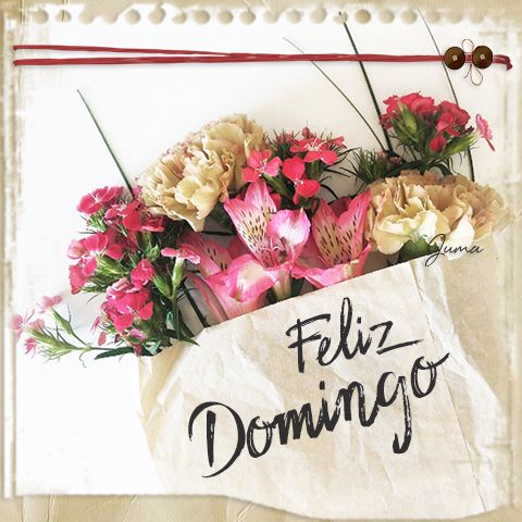 Feliz Domingo Respuesta romantica con flores imagenes - Feliz Domingo Respuesta romántica con flores imagenes