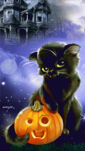 pequeno gato asustadizo Halloween gif imagenes - pequeño gato asustadizo Halloween gif imágenes