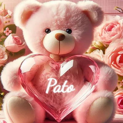 Imagen romántica 2 con nombre Pato Imagen romántica para Pato - Diseño 2