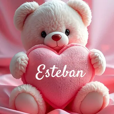 Osito de peluche rosa suave y esponjoso, sentado sosteniendo un gran corazón de felpa rosa, nombre grabado. - Esteban Osito de peluche rosa suave y esponjoso, sentado sosteniendo un gran corazón de felpa rosa, nombre grabado. - Esteban