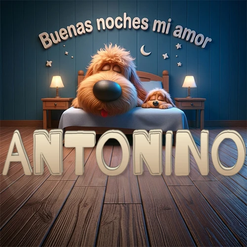Dos perros de raza de pelaje espeso durmiendo juntos plácidamente en una cama cómoda, sobre ellos la frase 'Buenas noches mi amor' en una pared azul tranquila decorada con estrellas y una pequeña luna, con lámparas laterales cálidas. El nombre está en un prominente texto 3D en el piso de madera frente a la cama. Nombre personalizado: Antonino. Dos perros de raza de pelaje espeso durmiendo juntos plácidamente en una cama cómoda, sobre ellos la frase 'Buenas noches mi amor' en una pared azul tranquila decorada con estrellas y una pequeña luna, con lámparas laterales cálidas. El nombre está en un prominente texto 3D en el piso de madera frente a la cama. Nombre personalizado: Antonino.