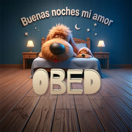 Dos perros de raza de pelaje espeso durmiendo juntos plácidamente en una cama cómoda, sobre ellos la frase 'Buenas noches mi amor' en una pared azul tranquila decorada con estrellas y una pequeña luna, con lámparas laterales cálidas. El nombre está en un prominente texto 3D en el piso de madera frente a la cama. Nombre personalizado: Obed.