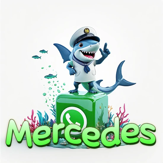 Fondo marino con un tiburón capitán sobre un cubo verde de WhatsApp. Arrecifes de coral, peces y burbujas. Nombre en verde claro en la parte delantera del cubo. Diseño con el nombre Mercedes.