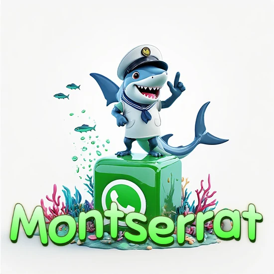 Fondo marino con un tiburón capitán sobre un cubo verde de WhatsApp. Arrecifes de coral, peces y burbujas. Nombre en verde claro en la parte delantera del cubo. Diseño con el nombre Montserrat.