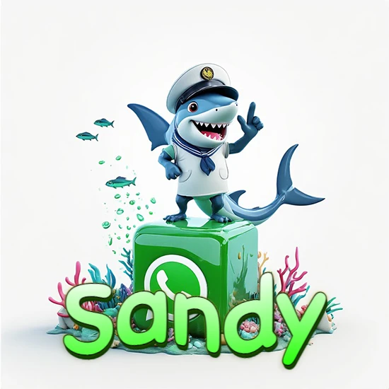 Fondo marino con un tiburón capitán sobre un cubo verde de WhatsApp. Arrecifes de coral, peces y burbujas. Nombre en verde claro en la parte delantera del cubo. Diseño con el nombre Sandy.