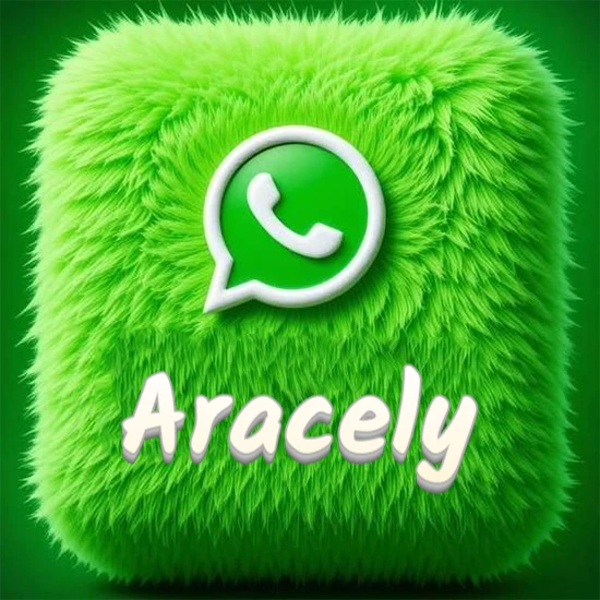Cubo gigante cubierto de suave pelaje verde con el logotipo blanco de WhatsApp en 3D incrustado. Nombre en blanco suave que sigue la textura del pelaje en la parte inferior. Diseño con el nombre Aracely.