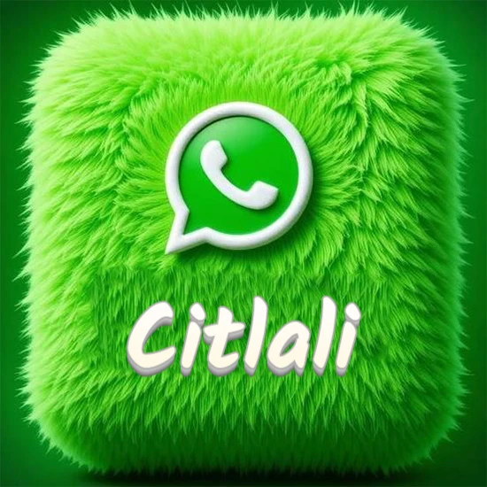 Cubo gigante cubierto de suave pelaje verde con el logotipo blanco de WhatsApp en 3D incrustado. Nombre en blanco suave que sigue la textura del pelaje en la parte inferior. Diseño con el nombre Citlali.