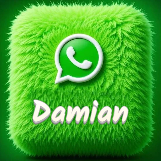 Cubo gigante cubierto de suave pelaje verde con el logotipo blanco de WhatsApp en 3D incrustado. Nombre en blanco suave que sigue la textura del pelaje en la parte inferior. Diseño con el nombre Damian. Cubo gigante cubierto de suave pelaje verde con el logotipo blanco de WhatsApp en 3D incrustado. Nombre en blanco suave que sigue la textura del pelaje en la parte inferior. Diseño con el nombre Damian.