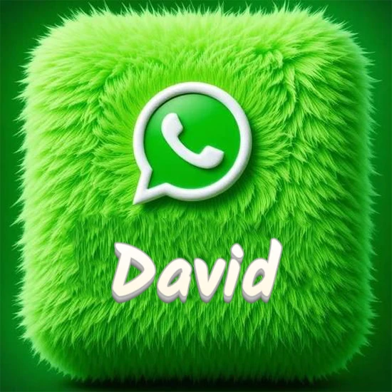 Cubo gigante cubierto de suave pelaje verde con el logotipo blanco de WhatsApp en 3D incrustado. Nombre en blanco suave que sigue la textura del pelaje en la parte inferior. Diseño con el nombre David.