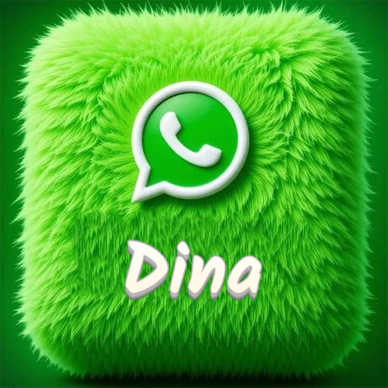Cubo gigante cubierto de suave pelaje verde con el logotipo blanco de WhatsApp en 3D incrustado. Nombre en blanco suave que sigue la textura del pelaje en la parte inferior. Diseño con el nombre Dina. Cubo gigante cubierto de suave pelaje verde con el logotipo blanco de WhatsApp en 3D incrustado. Nombre en blanco suave que sigue la textura del pelaje en la parte inferior. Diseño con el nombre Dina.