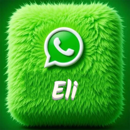 Cubo gigante cubierto de suave pelaje verde con el logotipo blanco de WhatsApp en 3D incrustado. Nombre en blanco suave que sigue la textura del pelaje en la parte inferior. Diseño con el nombre Eli.