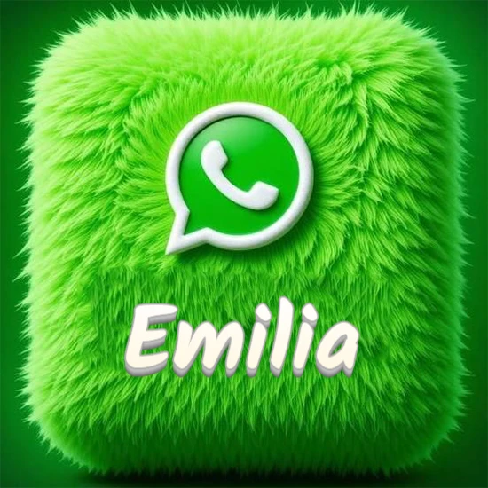 Cubo gigante cubierto de suave pelaje verde con el logotipo blanco de WhatsApp en 3D incrustado. Nombre en blanco suave que sigue la textura del pelaje en la parte inferior. Diseño con el nombre Emilia.