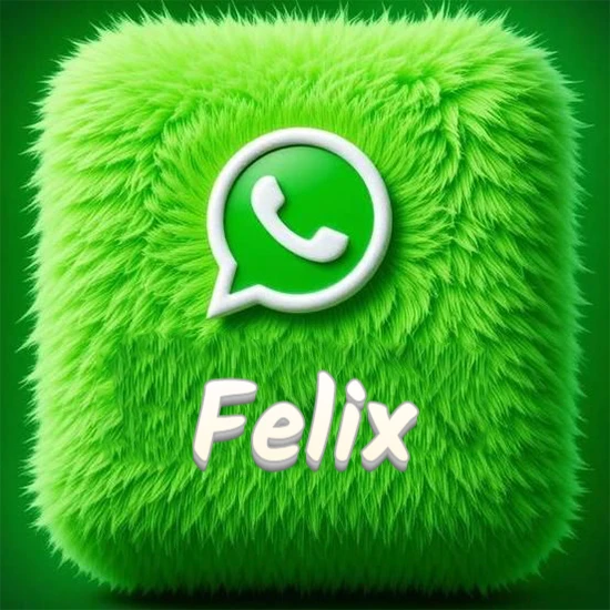 Cubo gigante cubierto de suave pelaje verde con el logotipo blanco de WhatsApp en 3D incrustado. Nombre en blanco suave que sigue la textura del pelaje en la parte inferior. Diseño con el nombre Felix.