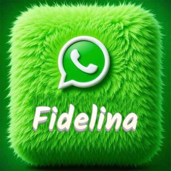 Cubo gigante cubierto de suave pelaje verde con el logotipo blanco de WhatsApp en 3D incrustado. Nombre en blanco suave que sigue la textura del pelaje en la parte inferior. Diseño con el nombre Fidelina.