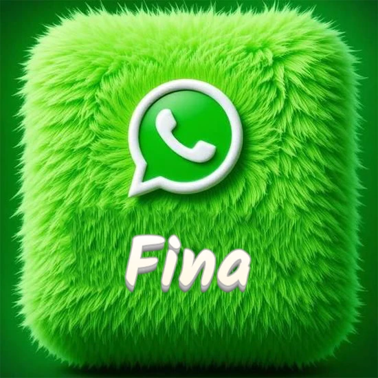 Cubo gigante cubierto de suave pelaje verde con el logotipo blanco de WhatsApp en 3D incrustado. Nombre en blanco suave que sigue la textura del pelaje en la parte inferior. Diseño con el nombre Fina.