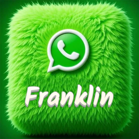 Cubo gigante cubierto de suave pelaje verde con el logotipo blanco de WhatsApp en 3D incrustado. Nombre en blanco suave que sigue la textura del pelaje en la parte inferior. Diseño con el nombre Franklin.