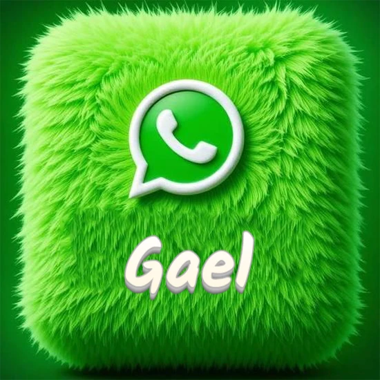 Cubo gigante cubierto de suave pelaje verde con el logotipo blanco de WhatsApp en 3D incrustado. Nombre en blanco suave que sigue la textura del pelaje en la parte inferior. Diseño con el nombre Gael.