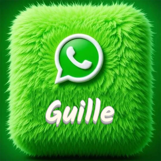 Cubo gigante cubierto de suave pelaje verde con el logotipo blanco de WhatsApp en 3D incrustado. Nombre en blanco suave que sigue la textura del pelaje en la parte inferior. Diseño con el nombre Guille.