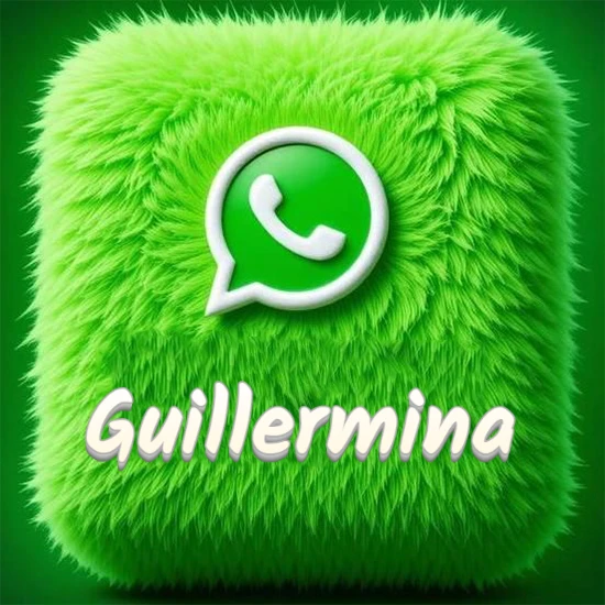 Cubo gigante cubierto de suave pelaje verde con el logotipo blanco de WhatsApp en 3D incrustado. Nombre en blanco suave que sigue la textura del pelaje en la parte inferior. Diseño con el nombre Guillermina.