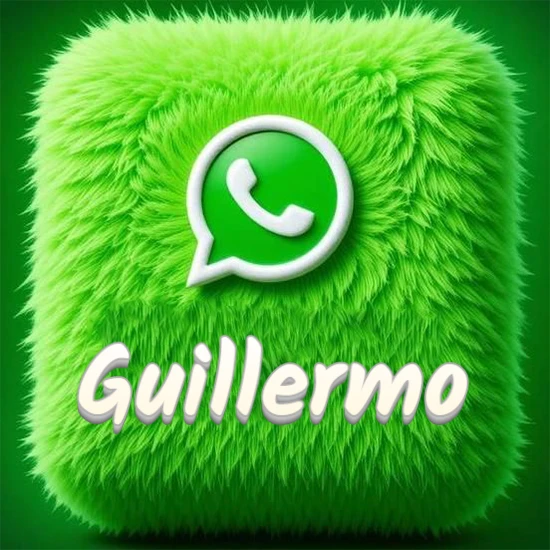 Cubo gigante cubierto de suave pelaje verde con el logotipo blanco de WhatsApp en 3D incrustado. Nombre en blanco suave que sigue la textura del pelaje en la parte inferior. Diseño con el nombre Guillermo.