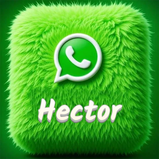 Cubo gigante cubierto de suave pelaje verde con el logotipo blanco de WhatsApp en 3D incrustado. Nombre en blanco suave que sigue la textura del pelaje en la parte inferior. Diseño con el nombre Hector. Cubo gigante cubierto de suave pelaje verde con el logotipo blanco de WhatsApp en 3D incrustado. Nombre en blanco suave que sigue la textura del pelaje en la parte inferior. Diseño con el nombre Hector.