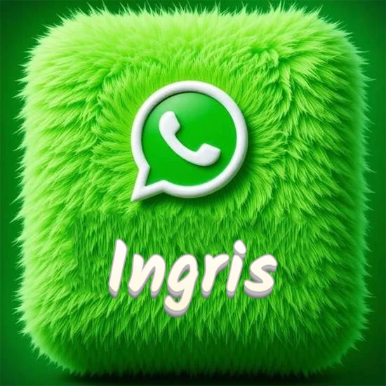 Cubo gigante cubierto de suave pelaje verde con el logotipo blanco de WhatsApp en 3D incrustado. Nombre en blanco suave que sigue la textura del pelaje en la parte inferior. Diseño con el nombre Ingris. Cubo gigante cubierto de suave pelaje verde con el logotipo blanco de WhatsApp en 3D incrustado. Nombre en blanco suave que sigue la textura del pelaje en la parte inferior. Diseño con el nombre Ingris.