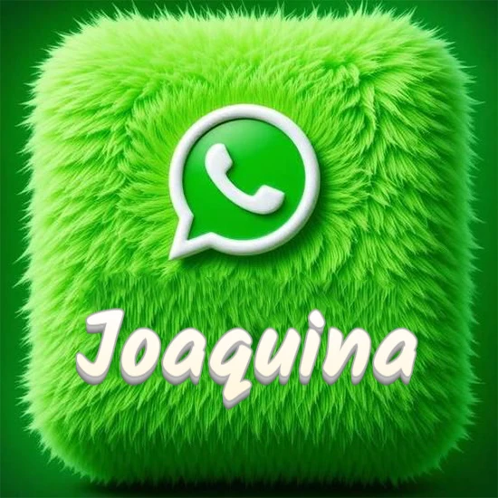 Cubo gigante cubierto de suave pelaje verde con el logotipo blanco de WhatsApp en 3D incrustado. Nombre en blanco suave que sigue la textura del pelaje en la parte inferior. Diseño con el nombre Joaquina.