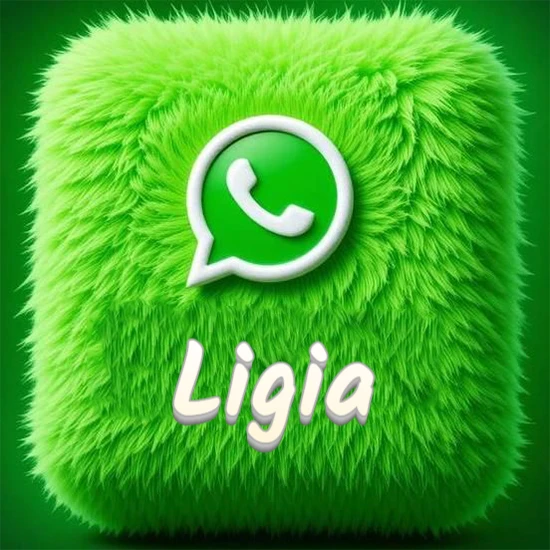 Cubo gigante cubierto de suave pelaje verde con el logotipo blanco de WhatsApp en 3D incrustado. Nombre en blanco suave que sigue la textura del pelaje en la parte inferior. Diseño con el nombre Ligia. Cubo gigante cubierto de suave pelaje verde con el logotipo blanco de WhatsApp en 3D incrustado. Nombre en blanco suave que sigue la textura del pelaje en la parte inferior. Diseño con el nombre Ligia.
