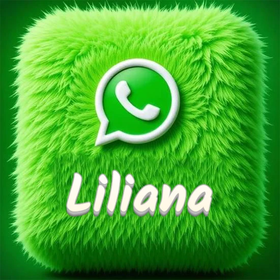 Cubo gigante cubierto de suave pelaje verde con el logotipo blanco de WhatsApp en 3D incrustado. Nombre en blanco suave que sigue la textura del pelaje en la parte inferior. Diseño con el nombre Liliana.