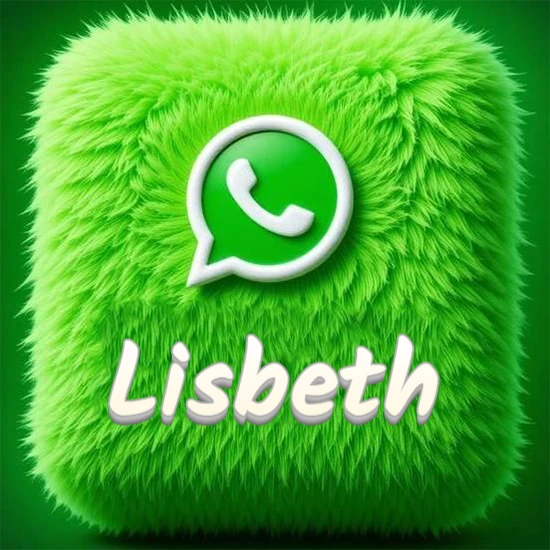 Cubo gigante cubierto de suave pelaje verde con el logotipo blanco de WhatsApp en 3D incrustado. Nombre en blanco suave que sigue la textura del pelaje en la parte inferior. Diseño con el nombre Lisbeth.