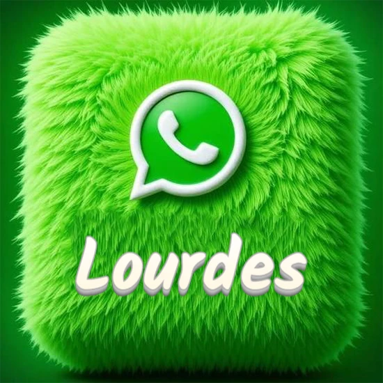 Cubo gigante cubierto de suave pelaje verde con el logotipo blanco de WhatsApp en 3D incrustado. Nombre en blanco suave que sigue la textura del pelaje en la parte inferior. Diseño con el nombre Lourdes.