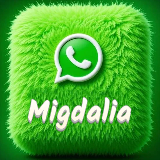 Cubo gigante cubierto de suave pelaje verde con el logotipo blanco de WhatsApp en 3D incrustado. Nombre en blanco suave que sigue la textura del pelaje en la parte inferior. Diseño con el nombre Migdalia.