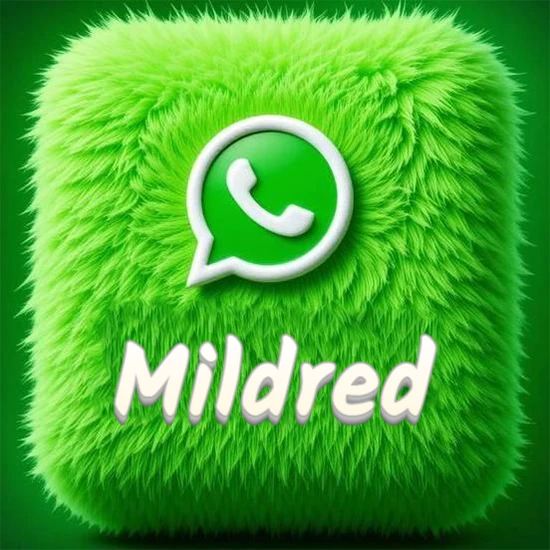 Cubo gigante cubierto de suave pelaje verde con el logotipo blanco de WhatsApp en 3D incrustado. Nombre en blanco suave que sigue la textura del pelaje en la parte inferior. Diseño con el nombre Mildred.