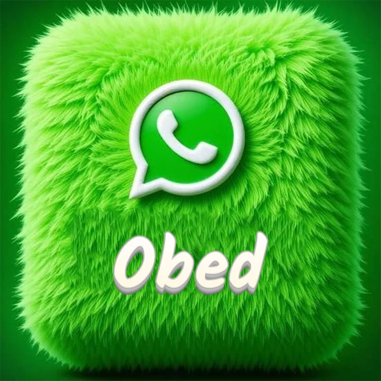 Cubo gigante cubierto de suave pelaje verde con el logotipo blanco de WhatsApp en 3D incrustado. Nombre en blanco suave que sigue la textura del pelaje en la parte inferior. Diseño con el nombre Obed.