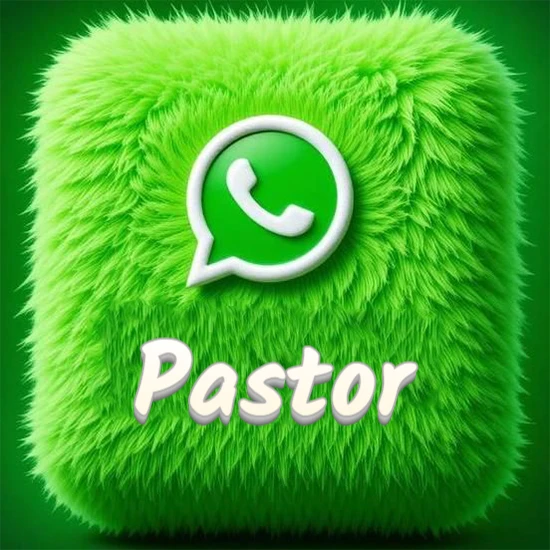 Cubo gigante cubierto de suave pelaje verde con el logotipo blanco de WhatsApp en 3D incrustado. Nombre en blanco suave que sigue la textura del pelaje en la parte inferior. Diseño con el nombre Pastor.