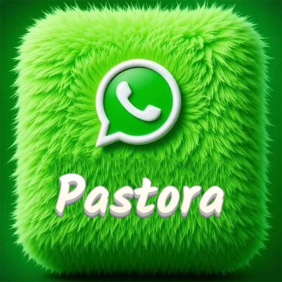Cubo gigante cubierto de suave pelaje verde con el logotipo blanco de WhatsApp en 3D incrustado. Nombre en blanco suave que sigue la textura del pelaje en la parte inferior. Diseño con el nombre Pastora.