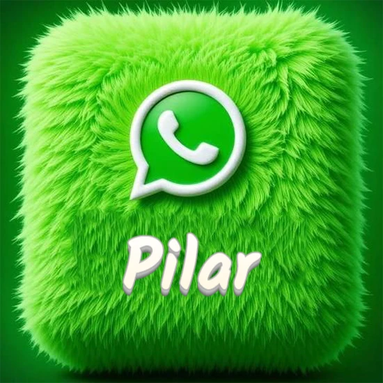 Cubo gigante cubierto de suave pelaje verde con el logotipo blanco de WhatsApp en 3D incrustado. Nombre en blanco suave que sigue la textura del pelaje en la parte inferior. Diseño con el nombre Pilar.