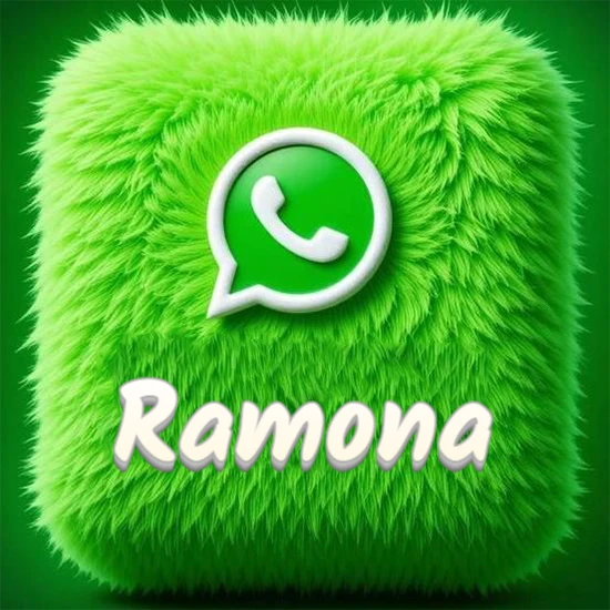 Cubo gigante cubierto de suave pelaje verde con el logotipo blanco de WhatsApp en 3D incrustado. Nombre en blanco suave que sigue la textura del pelaje en la parte inferior. Diseño con el nombre Ramona.