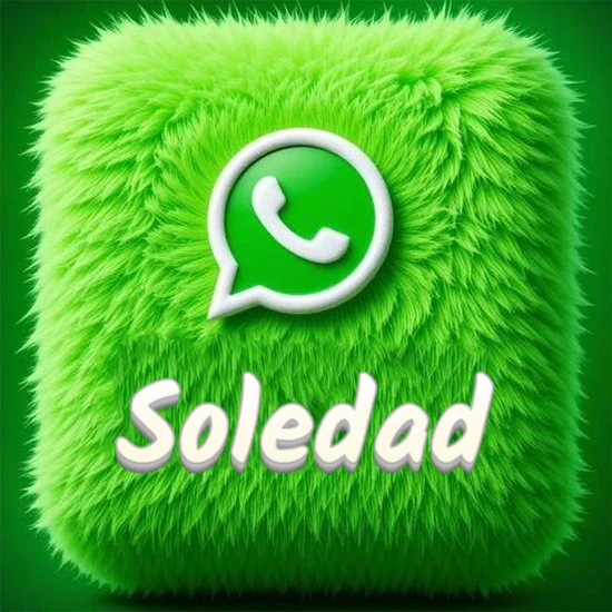 Cubo gigante cubierto de suave pelaje verde con el logotipo blanco de WhatsApp en 3D incrustado. Nombre en blanco suave que sigue la textura del pelaje en la parte inferior. Diseño con el nombre Soledad.