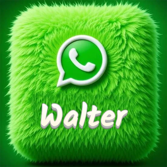 Cubo gigante cubierto de suave pelaje verde con el logotipo blanco de WhatsApp en 3D incrustado. Nombre en blanco suave que sigue la textura del pelaje en la parte inferior. Diseño con el nombre Walter. Cubo gigante cubierto de suave pelaje verde con el logotipo blanco de WhatsApp en 3D incrustado. Nombre en blanco suave que sigue la textura del pelaje en la parte inferior. Diseño con el nombre Walter.