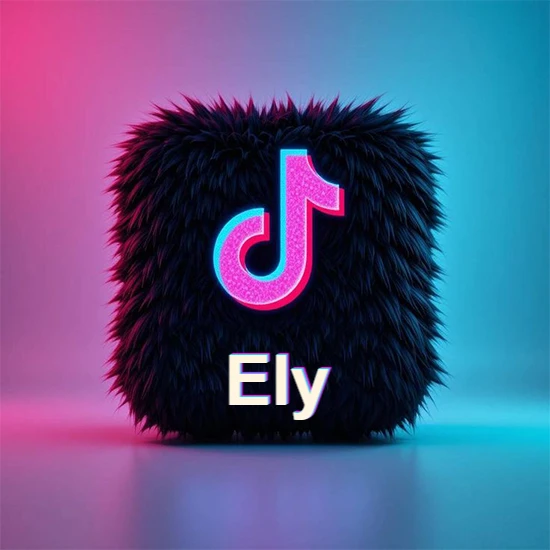 Cubo de pelaje negro oscuro con logotipo brillante de TikTok en fucsia y turquesa. Fondo degradado rosa y azul. Nombre destacado en blanco brillante en la base. Diseño con el nombre Ely.