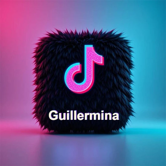Cubo de pelaje negro oscuro con logotipo brillante de TikTok en fucsia y turquesa. Fondo degradado rosa y azul. Nombre destacado en blanco brillante en la base. Diseño con el nombre Guillermina.