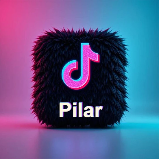 Cubo de pelaje negro oscuro con logotipo brillante de TikTok en fucsia y turquesa. Fondo degradado rosa y azul. Nombre destacado en blanco brillante en la base. Diseño con el nombre Pilar.