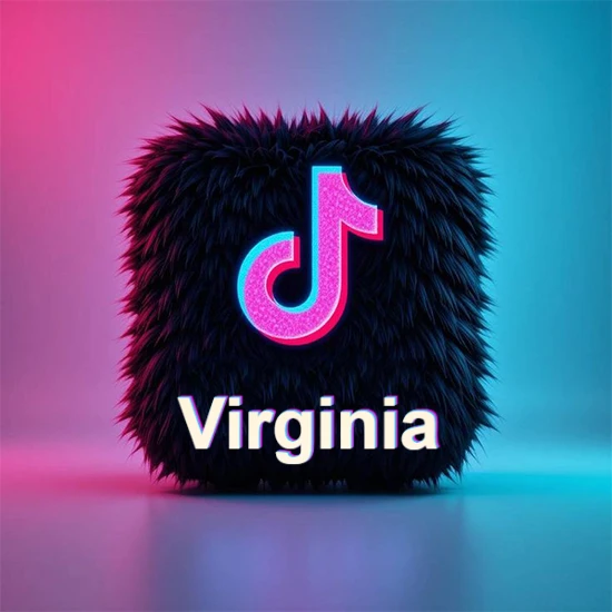 Cubo de pelaje negro oscuro con logotipo brillante de TikTok en fucsia y turquesa. Fondo degradado rosa y azul. Nombre destacado en blanco brillante en la base. Diseño con el nombre Virginia.