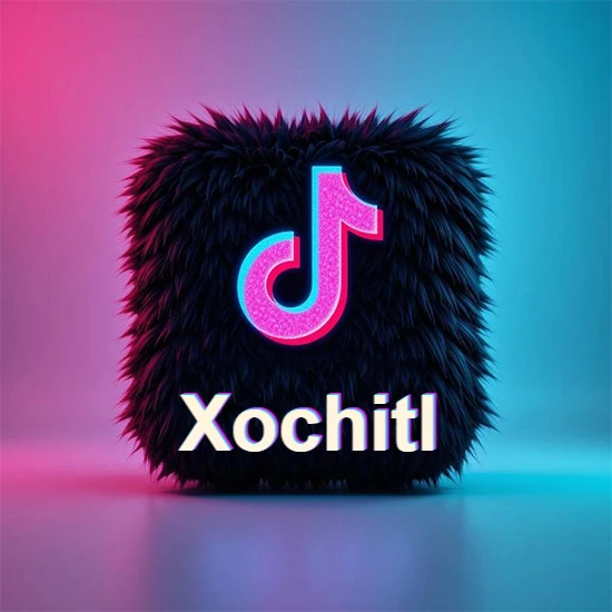 Cubo de pelaje negro oscuro con logotipo brillante de TikTok en fucsia y turquesa. Fondo degradado rosa y azul. Nombre destacado en blanco brillante en la base. Diseño con el nombre Xochitl.