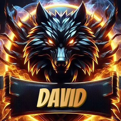 Diseño agresivo y poderoso de cabeza de lobo con ojos brillantes y halo de fuego, nombre incluido. - David
