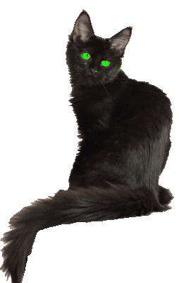 Gato negro dibujos stickers animados - Gato negro &#8211; dibujos stickers animados