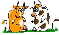 gif animadas abrazo vacas - gif animadas abrazo vacas