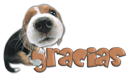 gif animadas agradecimiento perrito guino - gif animadas agradecimiento perrito guiño